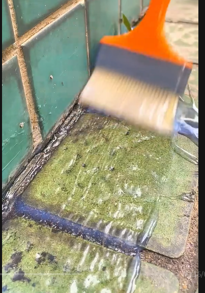 Pegamento Impermeable Transparente